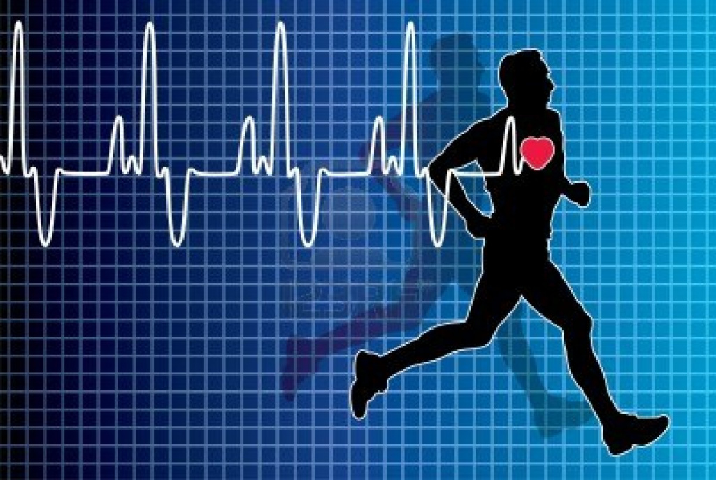 heartbeat1.jpg