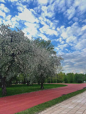 Царицыно